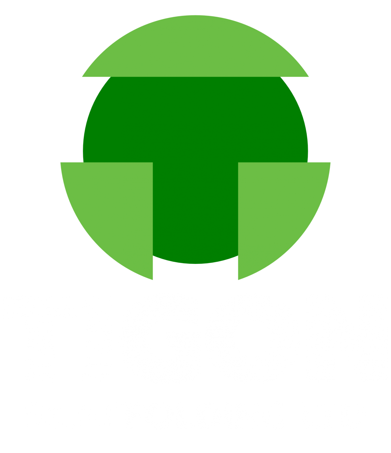 Tigon Scaffolding Logo